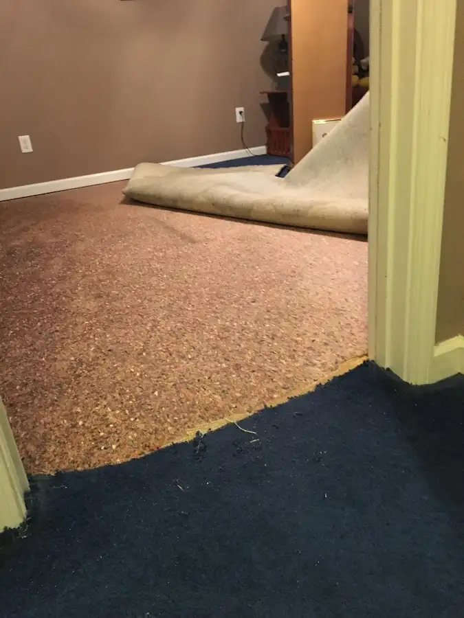 Carpet pad removal revealing water damage during Water Mitigation Services in West Melbourne