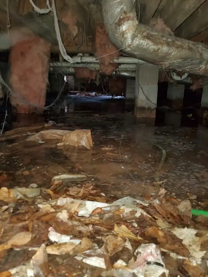 Crawl space flood assessment for Leak Detection & Repair in West Melbourne